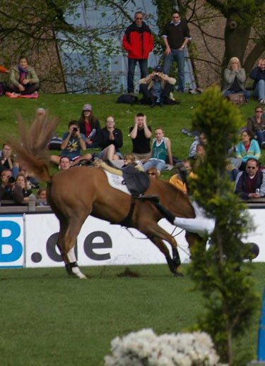 alfredohamburg2008-2